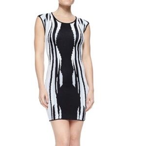 Parker Bodycon Dress